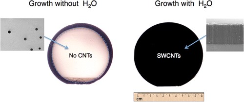 Enlarged view: Growth with and without H2O