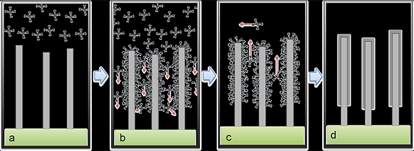 Enlarged view: Vertically aligned CNT