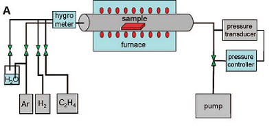 Mechanism and Kinetics of Growth Termination in Controlled Chemical Vapor Deposition Growth of Multiwall Carbon Nanotube Arrays