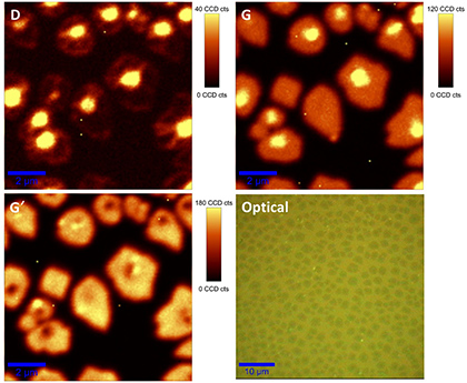 Enlarged view: Image of Early Stage Graphene Growth on Copper