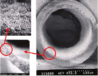 Enlarged view: Transport in Packed-Bed and Wall-Coated Steam-Methanol Reformers