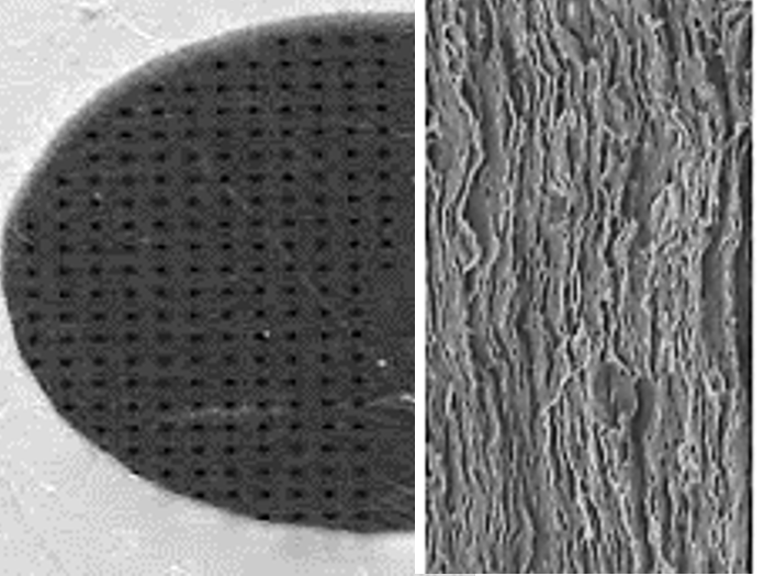 2016 Membrane Journal